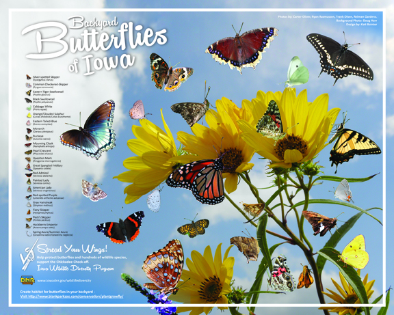 Proceeds from this butterfly poster help support nongame wildlife efforts in Iowa! | IowaDNR
